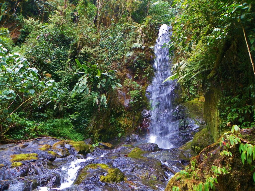 Cascadas de Costa Rica, con Viajes Gangas