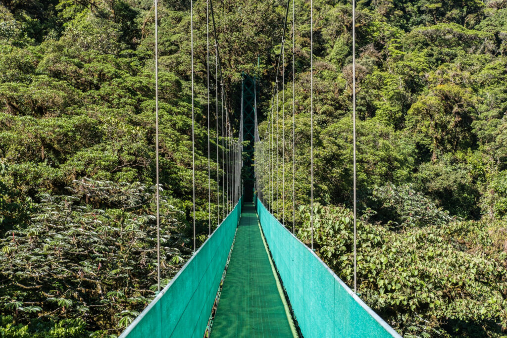 Rutas y Senderos por los bosques de Costa Rica con Viajes Gangas